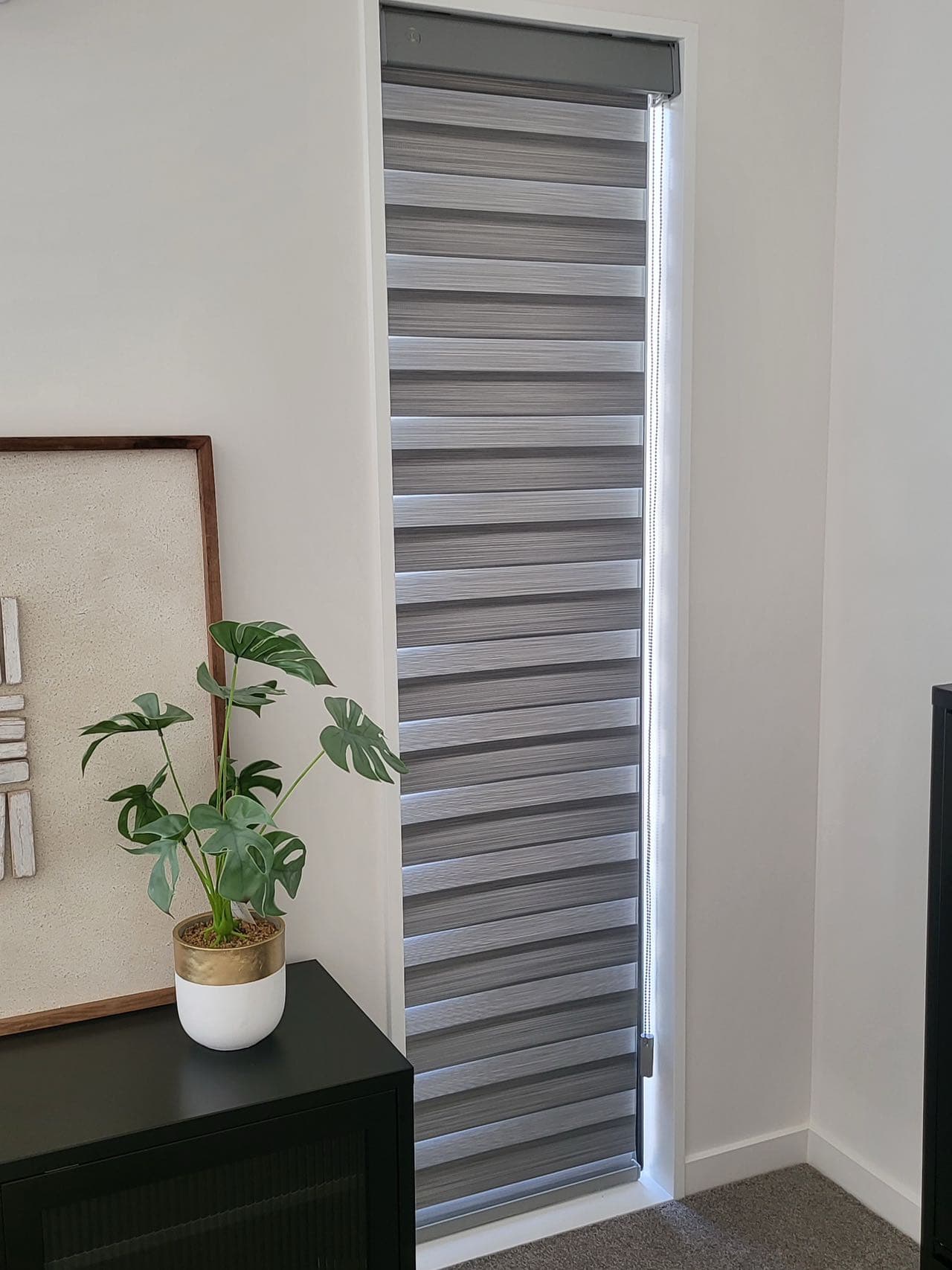 Zebra Blinds 3
