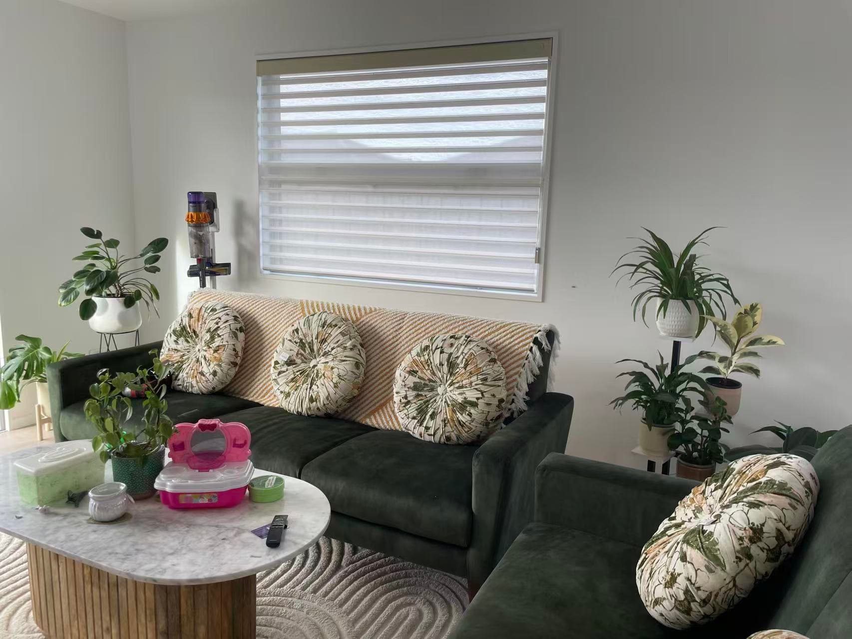 Zebra Blinds 4