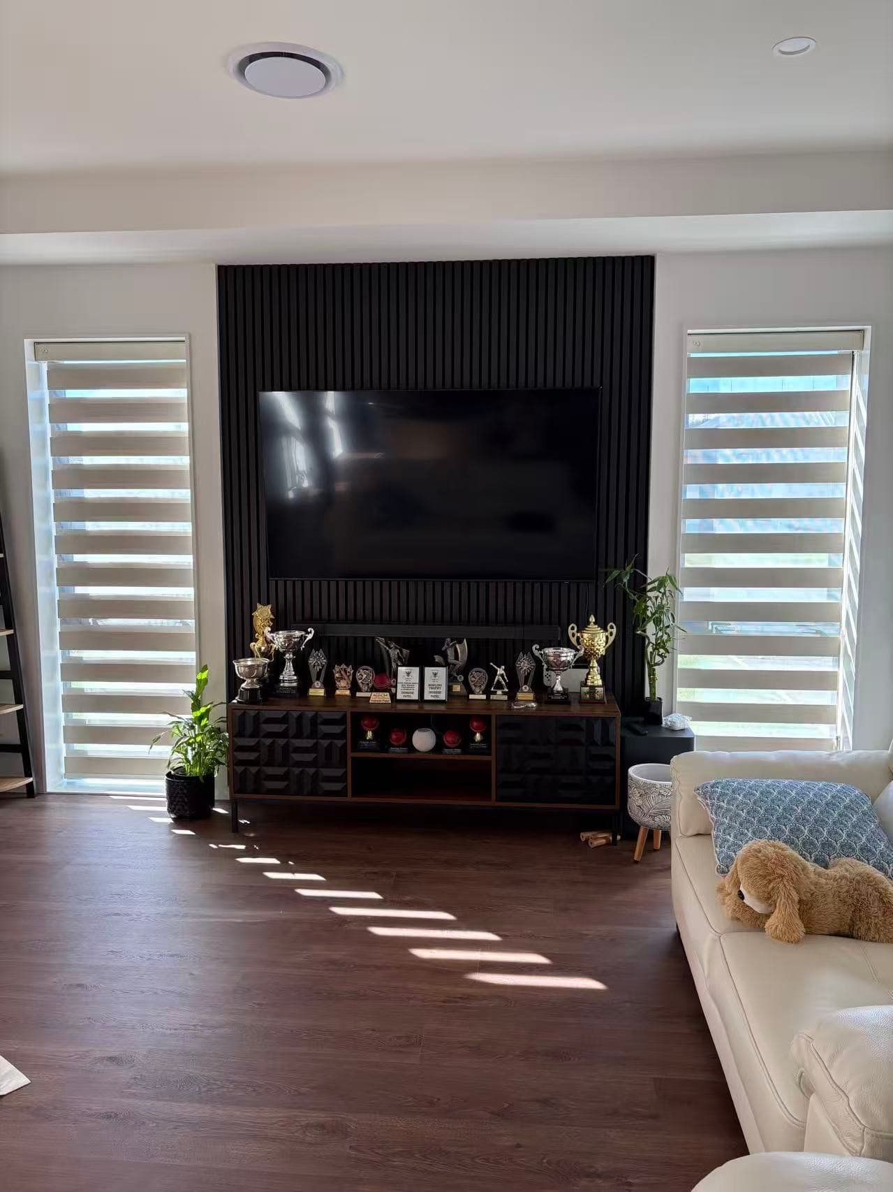 Zebra Blinds 5