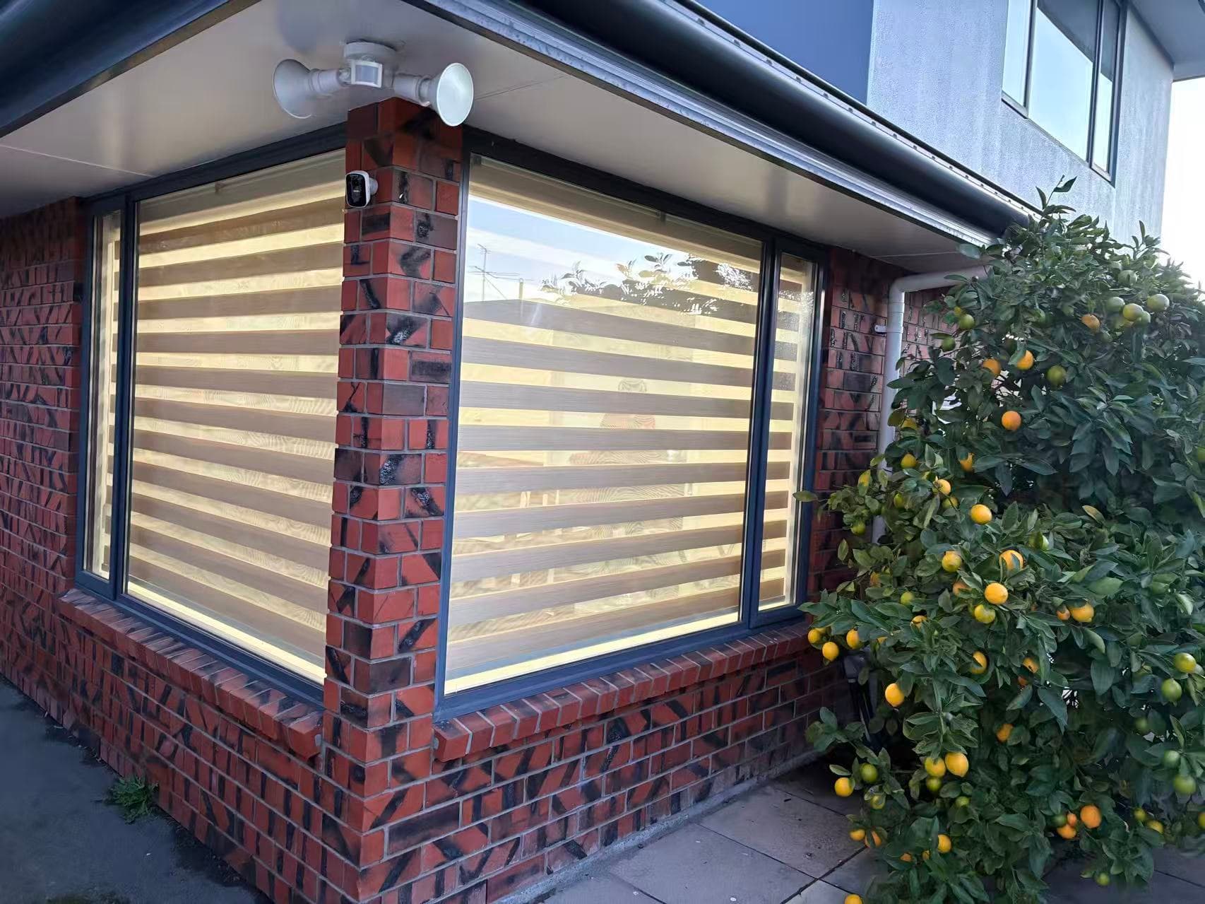 Zebra Blinds 6