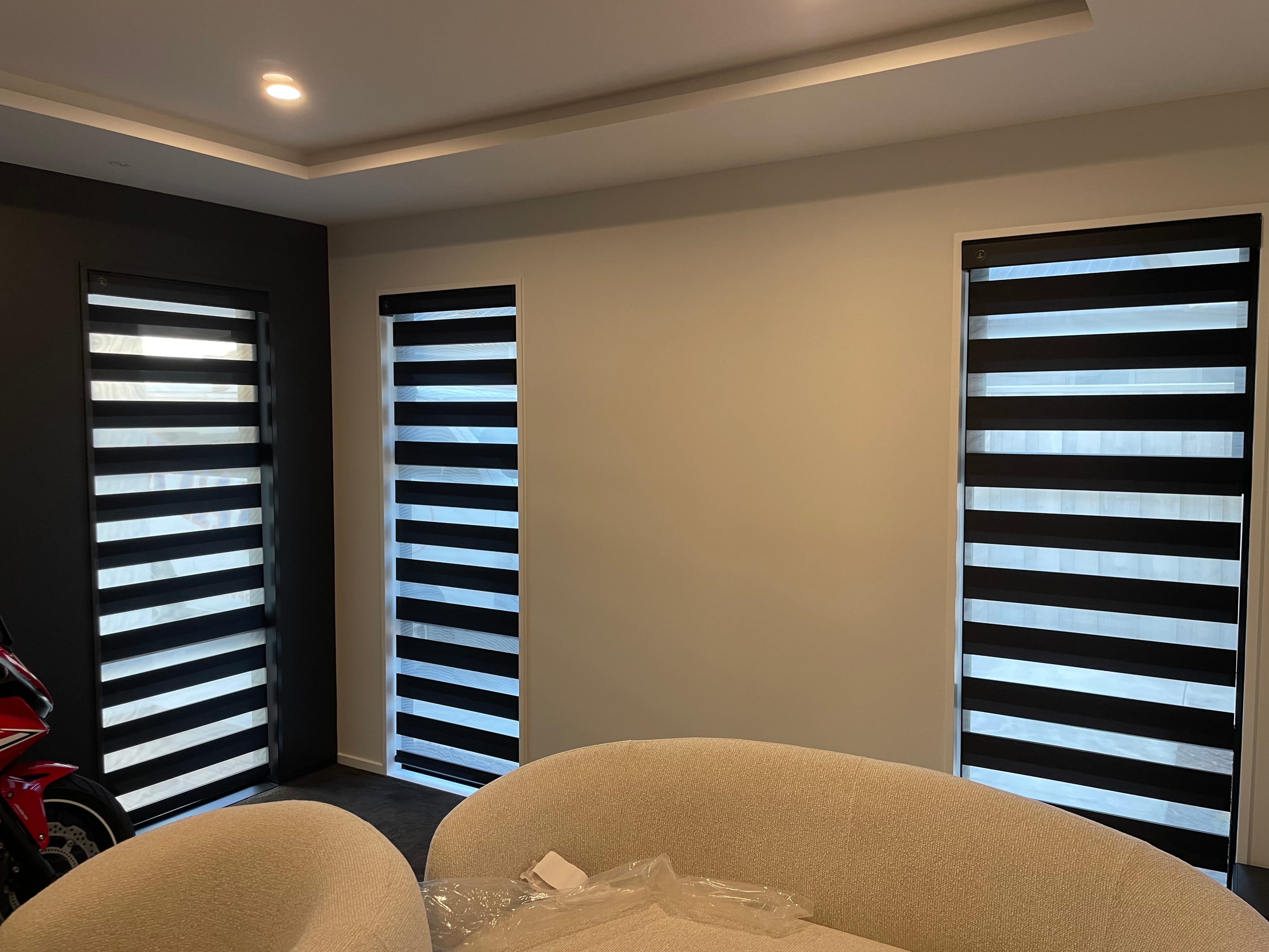 Zebra Blinds 7