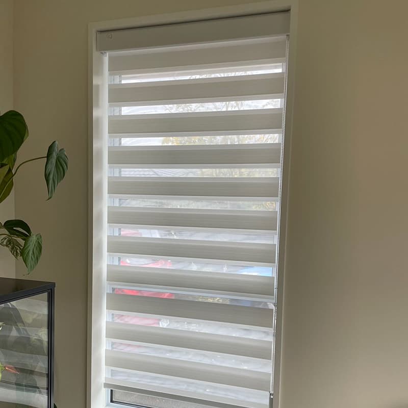 Zebra Blinds 1